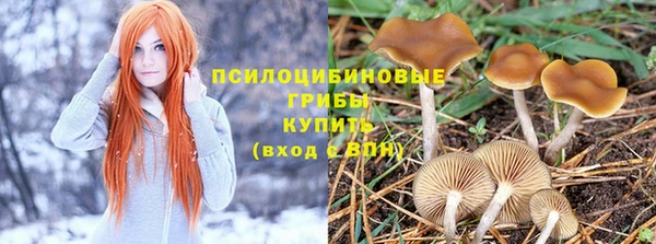 молекула духа Инта