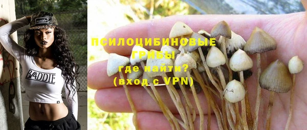молекула духа Инта