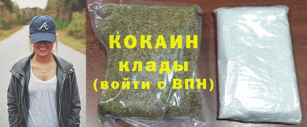 молекула духа Инта